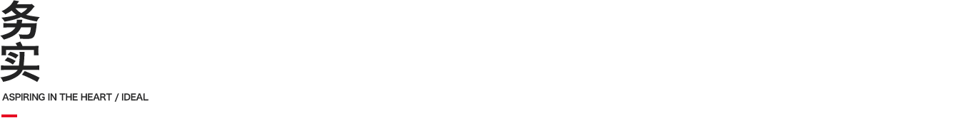 务实